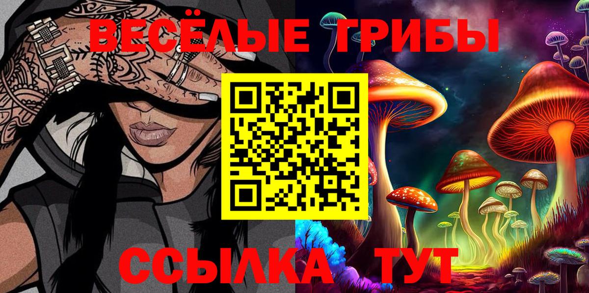 Тулун  Псилоцибиновые грибы GOLDEN TEACHER  как найти наркотики  Галлюциногенные грибы Magic Shrooms  Вход с VPN 
